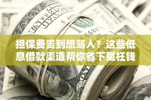 济南担保费贵到想骂人？这些低息借款渠道帮你省下冤枉钱