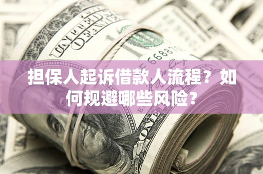 济南担保人起诉借款人流程？如何规避哪些风险？